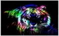 /album/galleria-fotografica/wooooow-tigre-jpg/